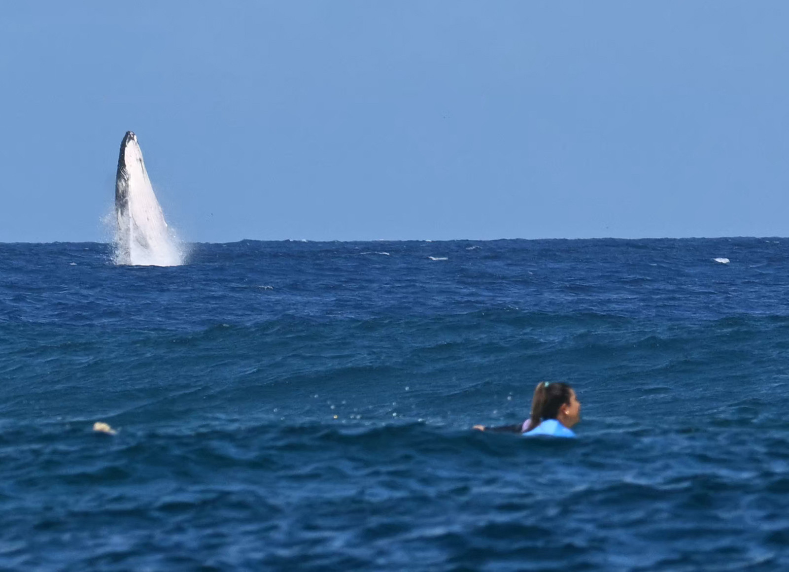 A whale breaches during the women's surfing semi-finals in Teahupo'o during the Paris 2024 Olympic Games. GETTY IMAGES