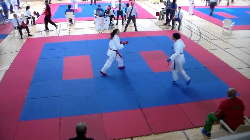 Three golds for Morocco as Karate 1-Premier League leg opens in Rabat