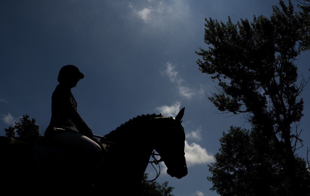 Hickstead has been working with British Dressage to explore ways to secure additional sources of revenue for the show, but it has proved to be vain
