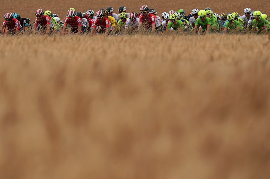 The peloton rides past a field during the picturesque stage ©Getty Images
