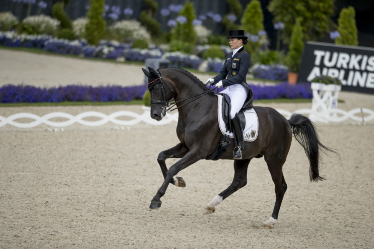 Germany claim final leg of FEI Nations Cup Dressage as United States take series spoils