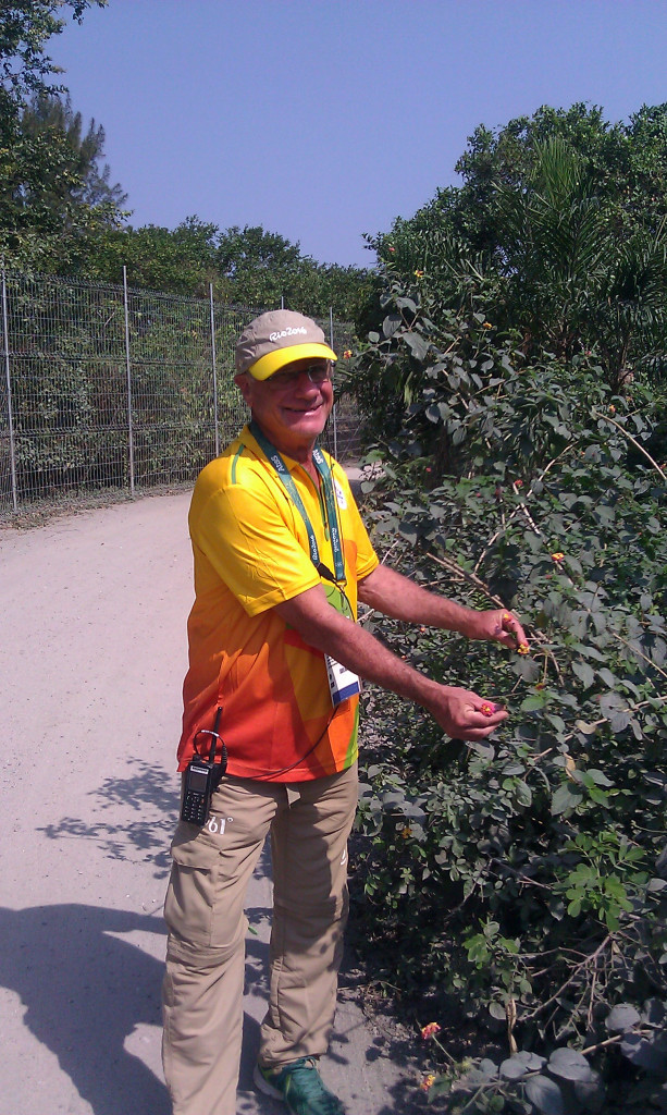 Guide Mario Rodnitzky with the lantana camara plant that has helped to entice a rare butterfly back to Barra da Tijuca ©ITG