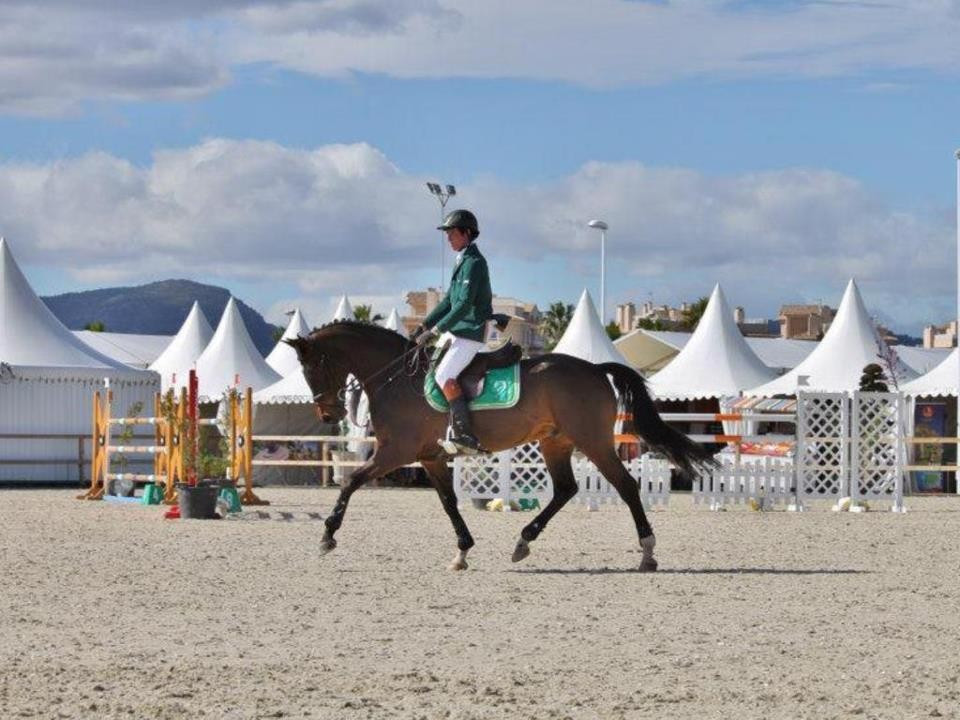 Irish showjumper Kevin Thornton has denied whipping his horse to death ©Facebook