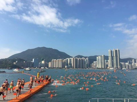 FINA call for "thorough review" after death of swimmer in Hong Kong Harbour open water race