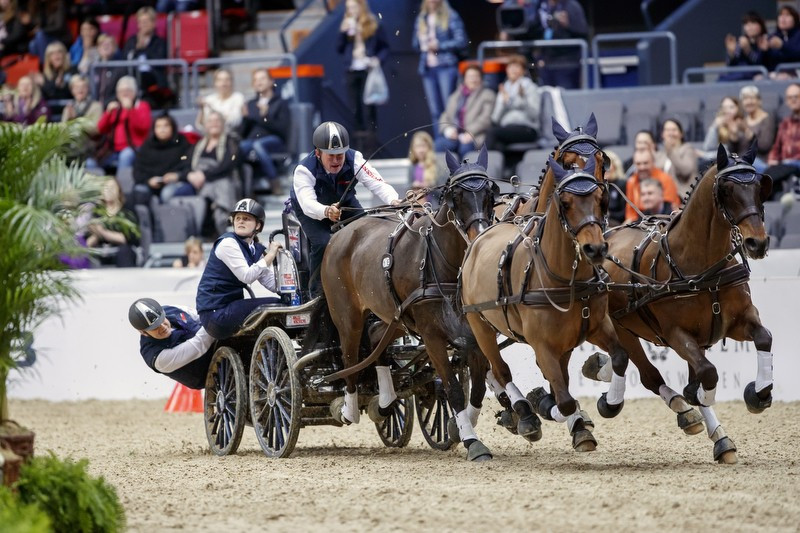 Boyd Exell of Australia won the FEI Driving World Cup final today ©FEI