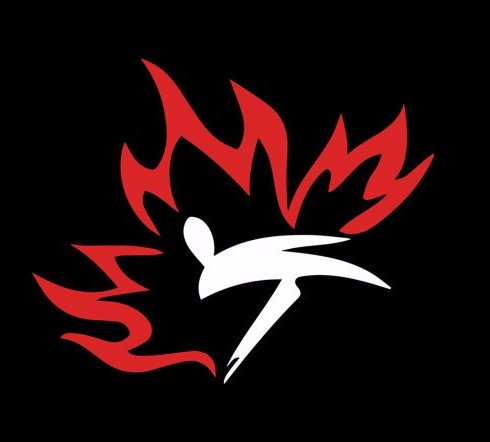 Taekwondo Canada has announced it will form a committee to review all governance documents ©Taekwondo Canada