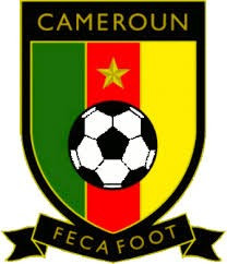 FIFA have been accused of ignoring a CAS ruling regarding FECAFOOT elections ©FECAFOOT
