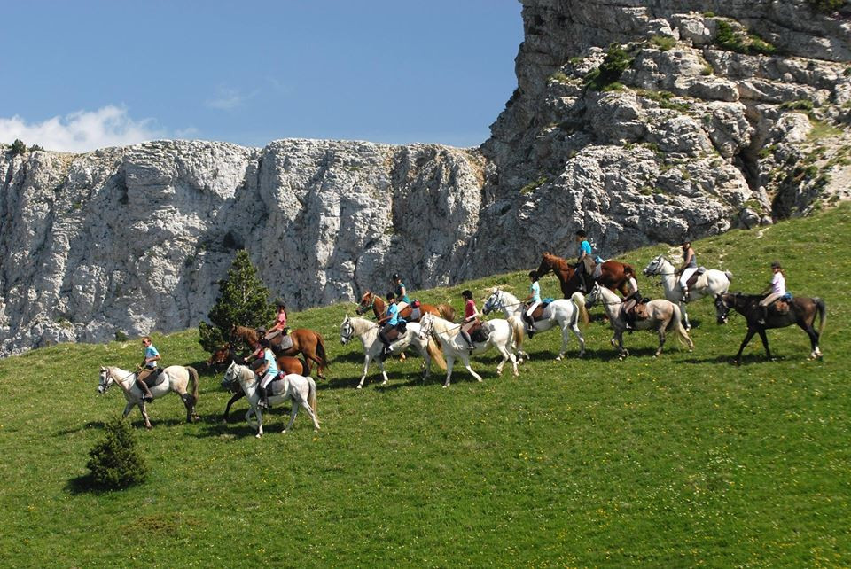 The International Federation of Equestrian Tourism oversees all tourism activities involving the use of horses ©FITE