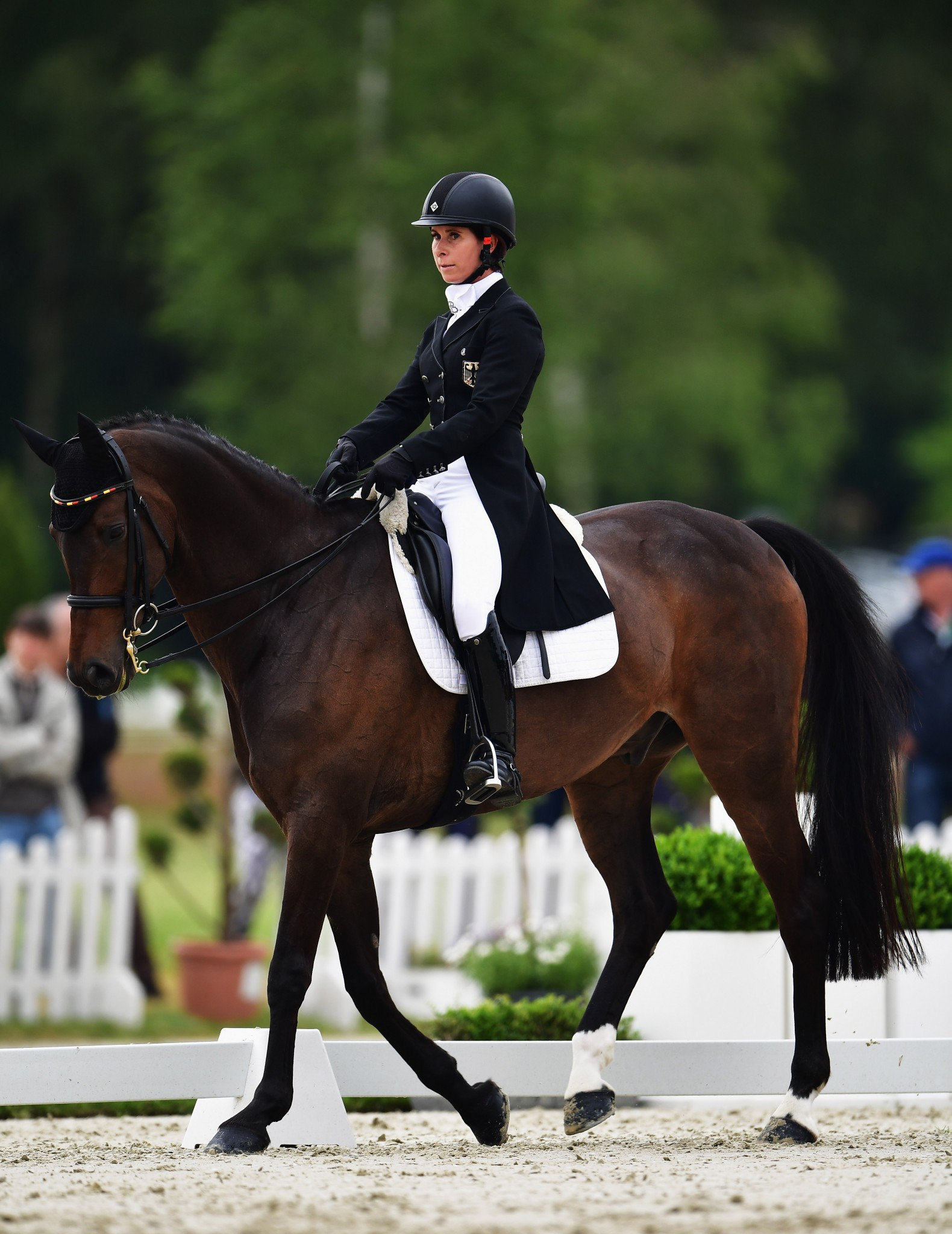 Bettina Hoy leads after the opening day of dressage ©Getty Images