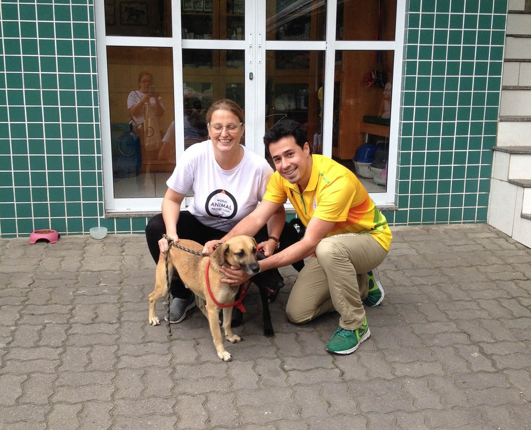 Rio 2016 Animal Management Service rescued almost 100 strays from Olympic venues