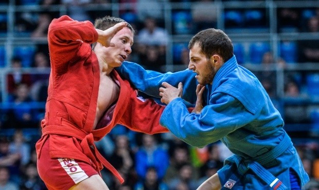 Sambo should become trademark of Russian sport, leading official claims