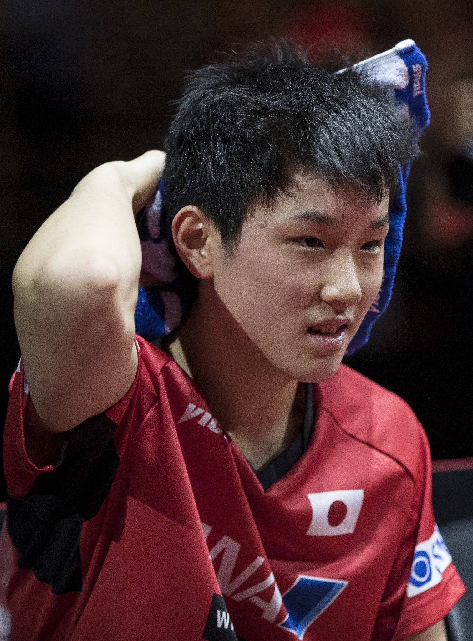 Fourteen-year-old Harimoto saves five match points before reaching ITTF Czech Open final