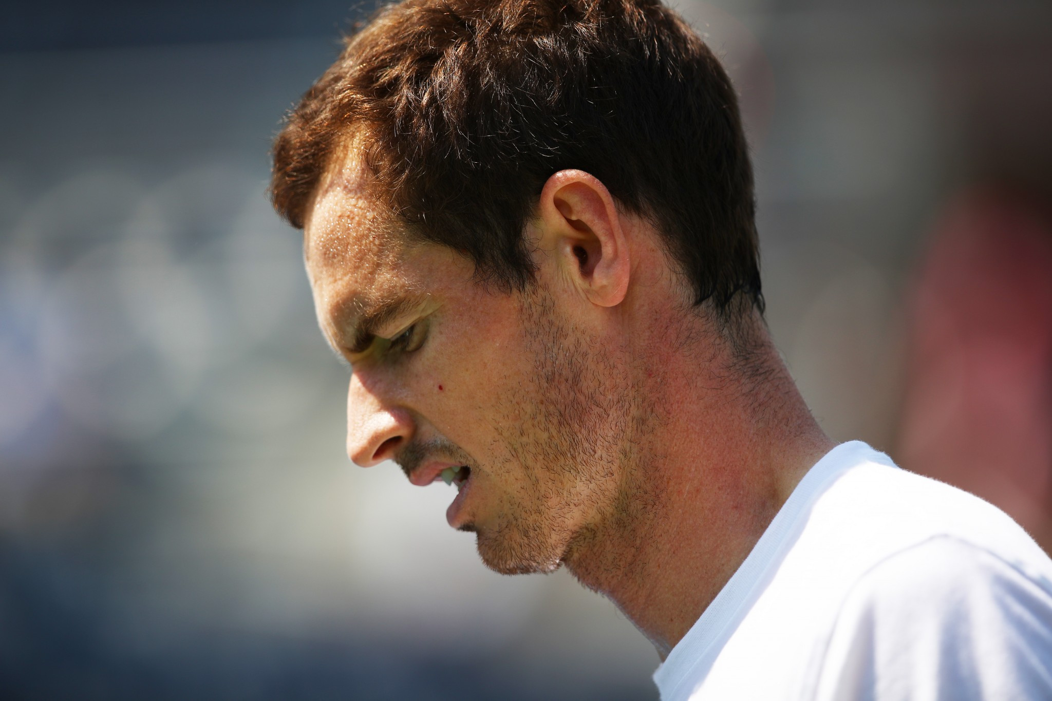 The withdrawal of Andy Murray - pictured during practice in New York this week - with a hip injury has improved the chances of rivals Rafa Nadal and Roger Federer at the US Open that starts tomorrow  ©Getty Images