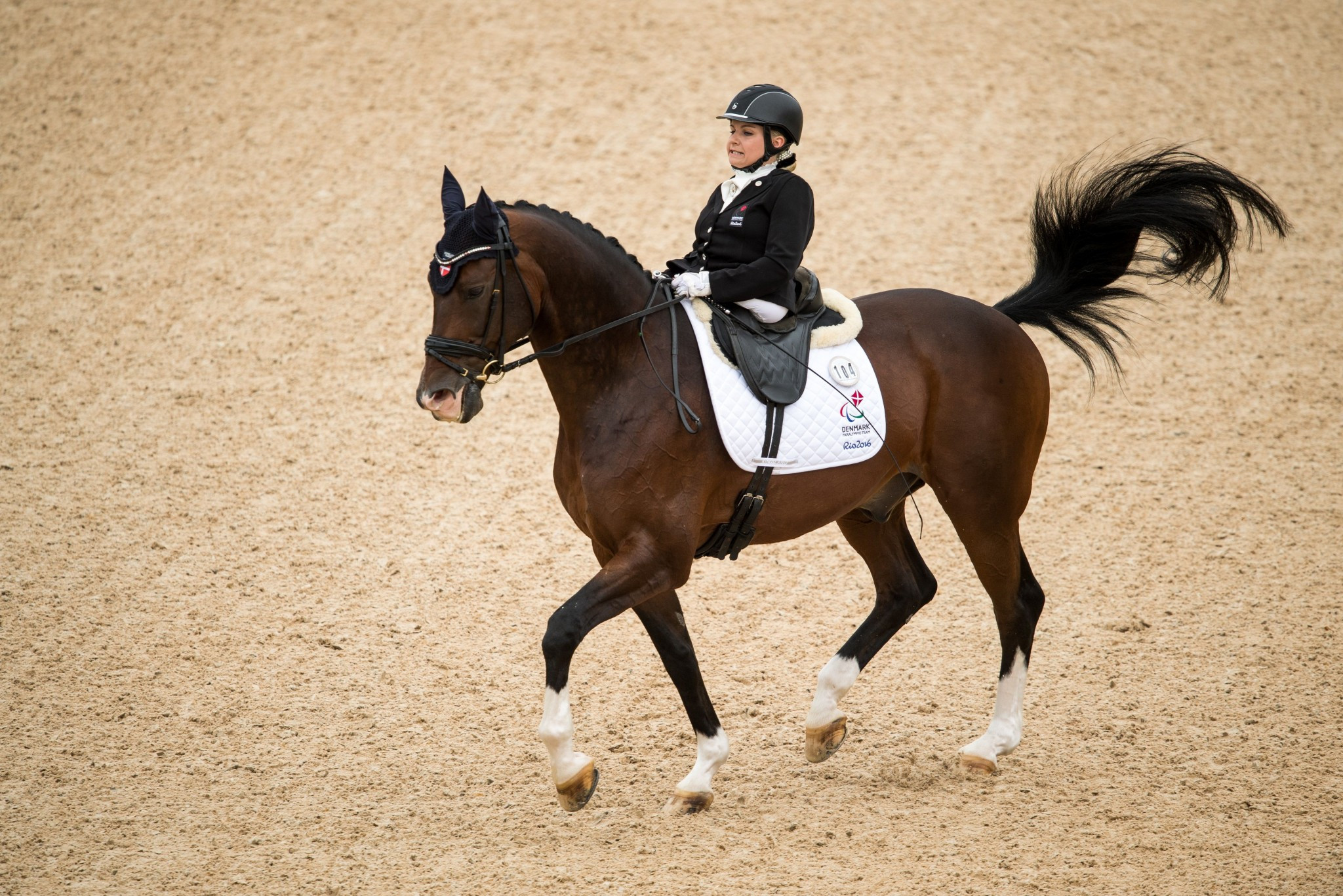 The International Equestrian Federation is among the members of APSO ©Getty Images
