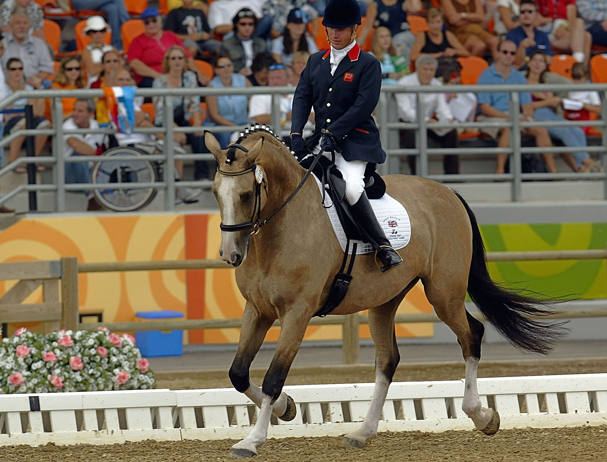 Pearson's Athens 2004 Para-equestrian triple gold partner dies