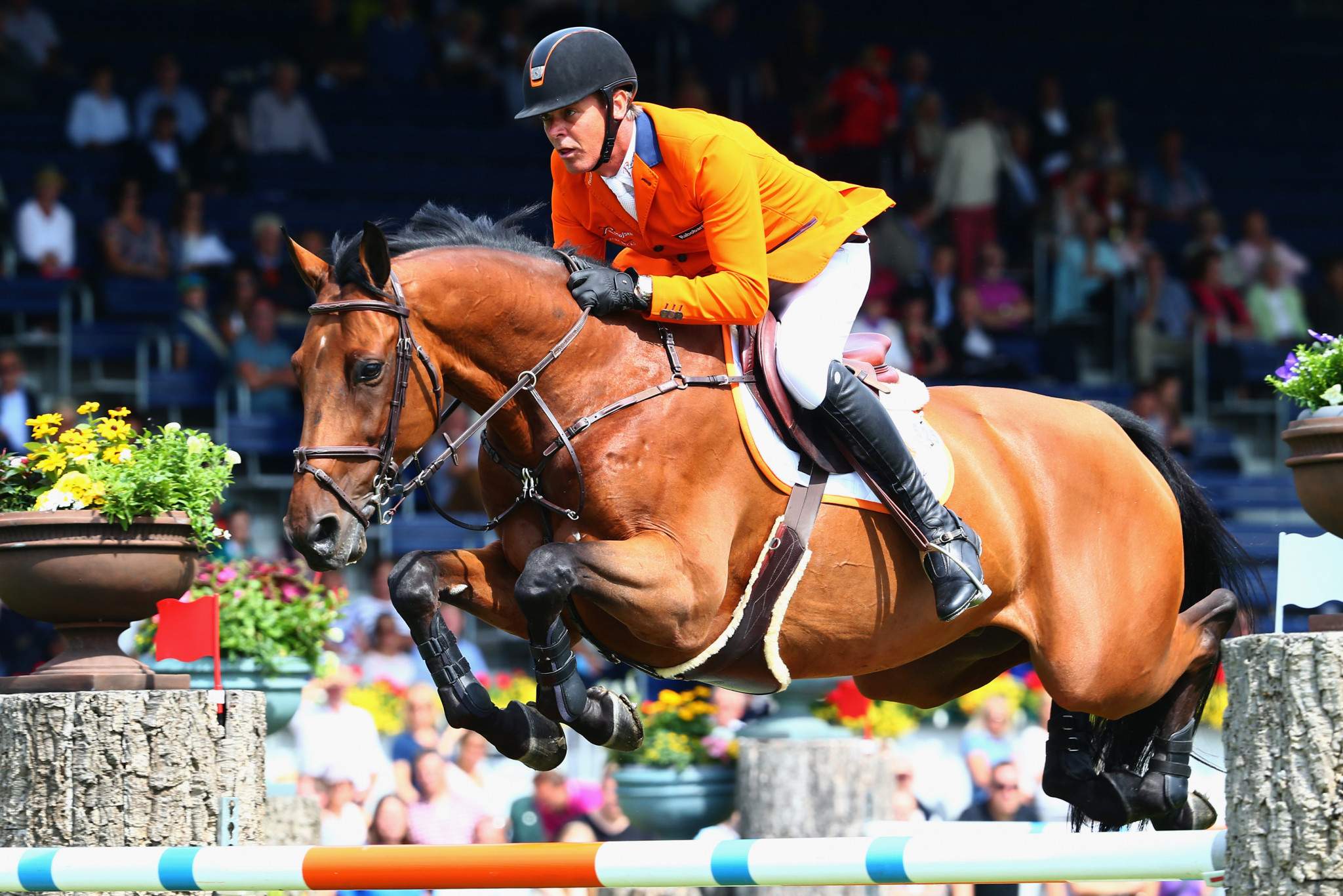 International Equestrian Federation sign new deal to promote equine health