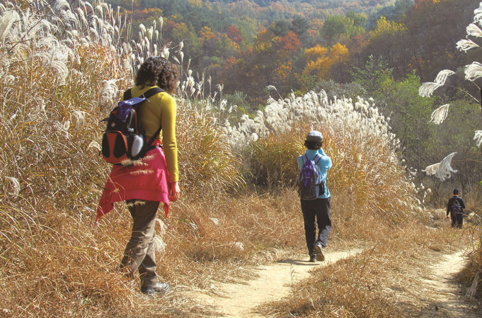 Pyeongchang 2018 Olympic hiking trail officially opened