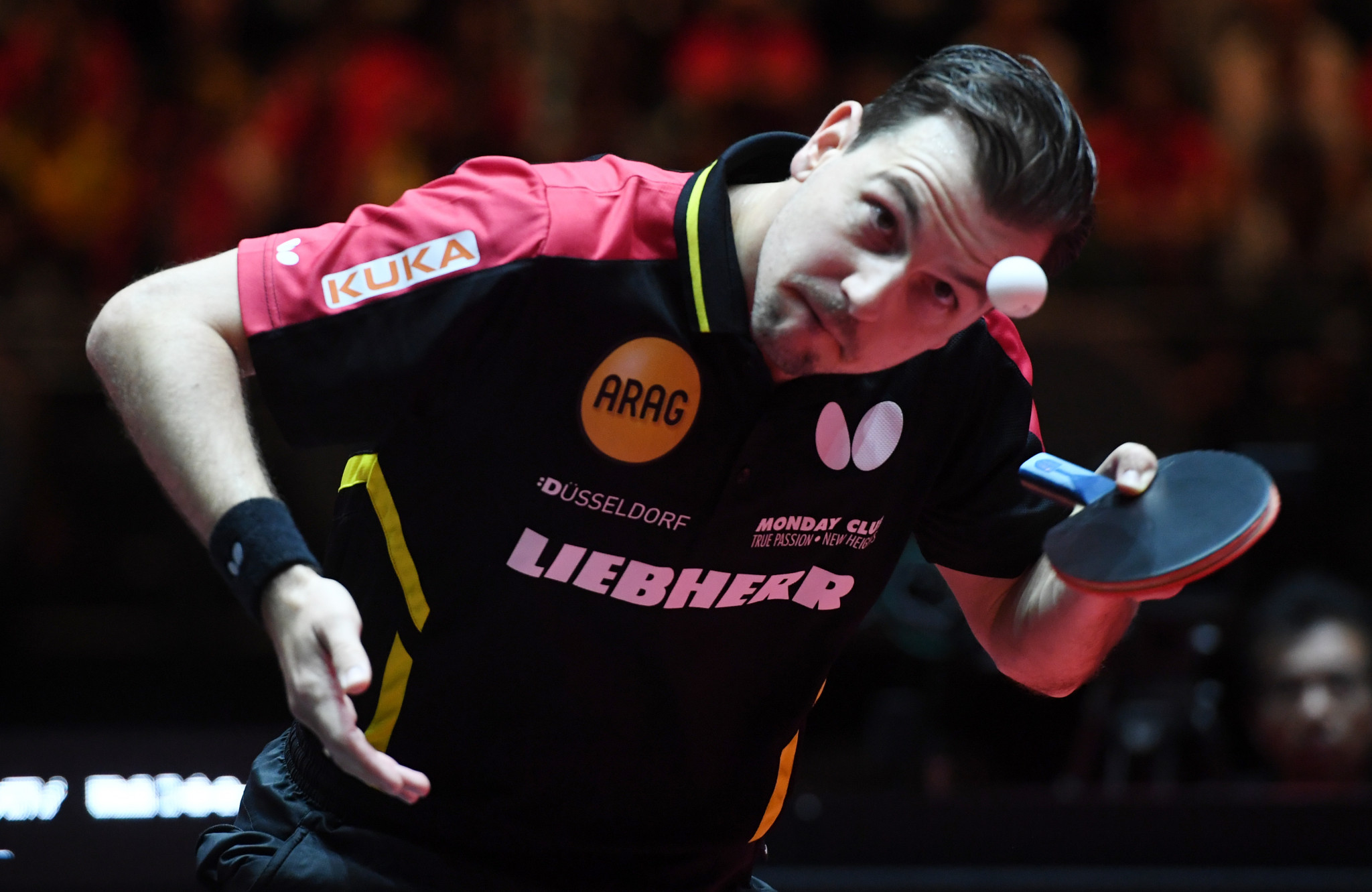Timo Boll enjoyed a stunning victory ©Getty Images