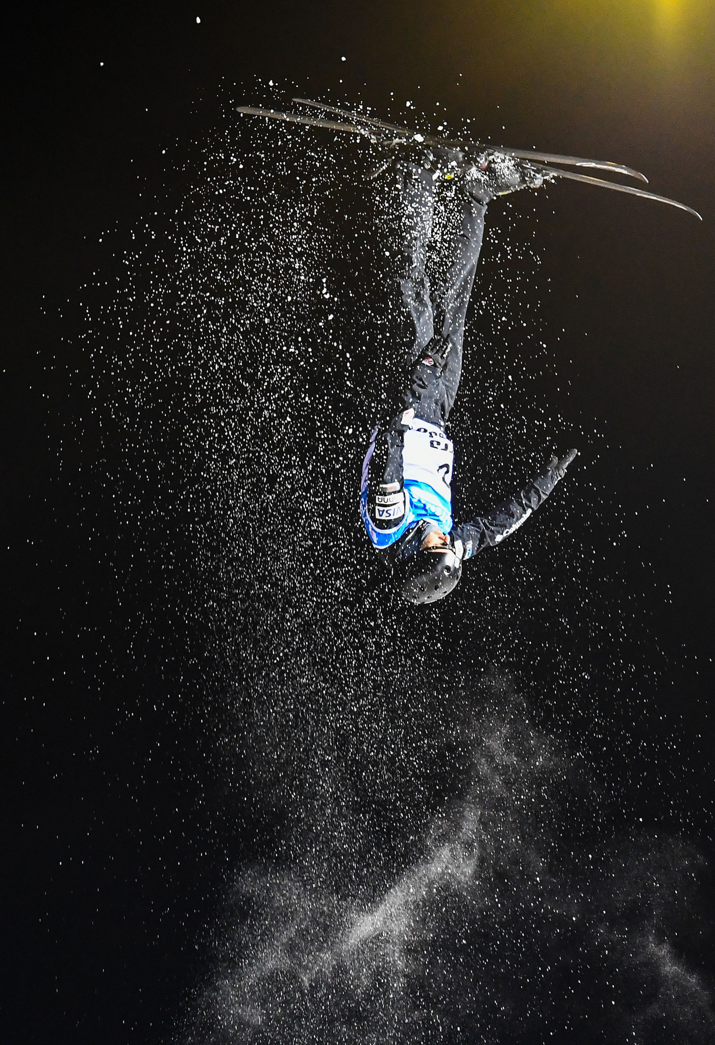 Michael's brother Jon Lillis won the aerials world title this year ©Getty Images
