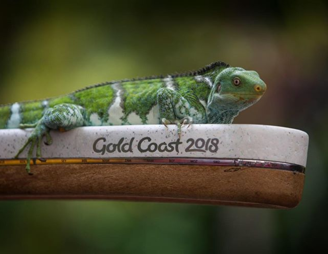 The Gold Coast 2018 Baton is set to travel to Papua New Guinea ©Gold Coast 2018