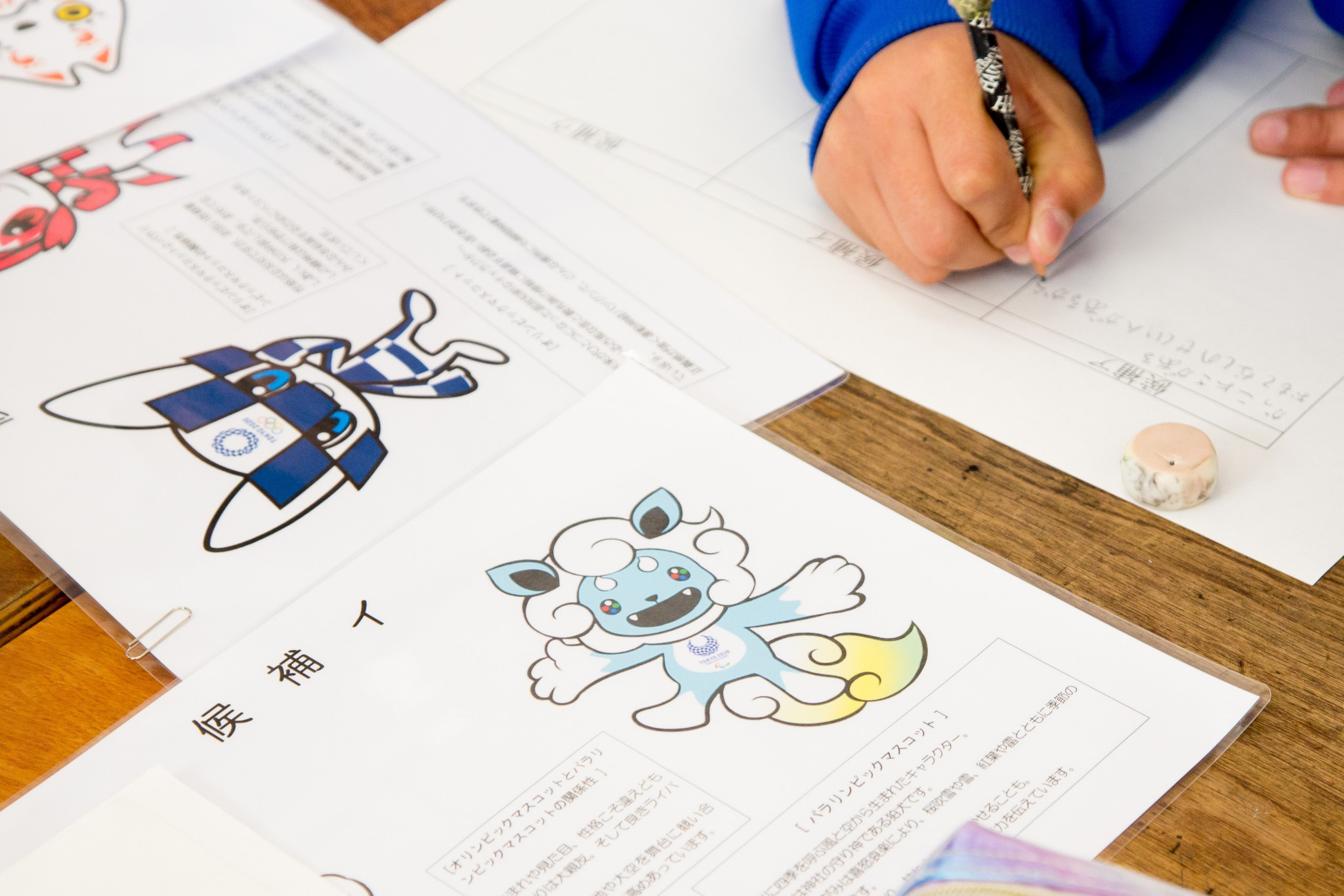 Schools have been given proposed lesson plans to incorporate the mascot selection process ©Tokyo 2020