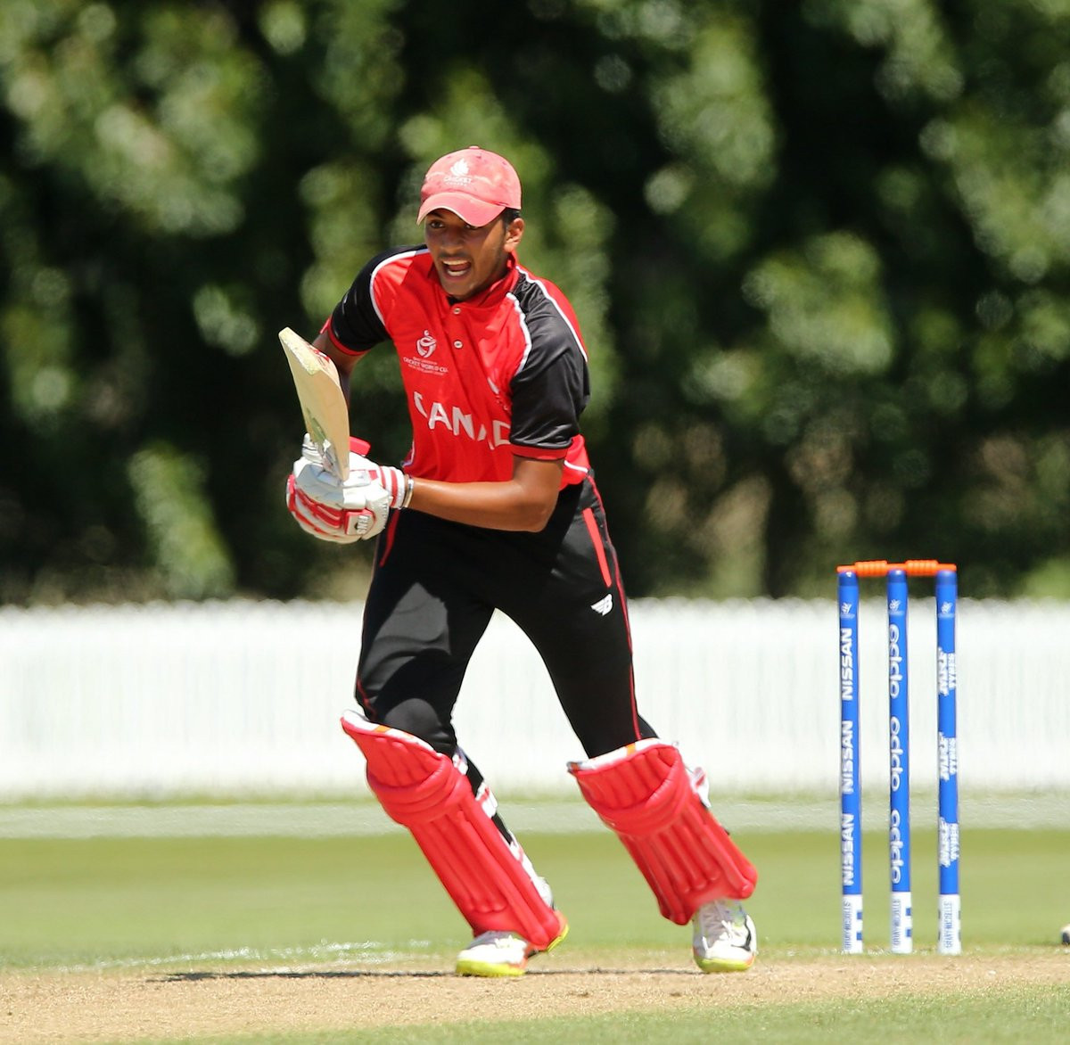 Two plate semi-finalists confirmed at ICC Under-19 Cricket World Cup