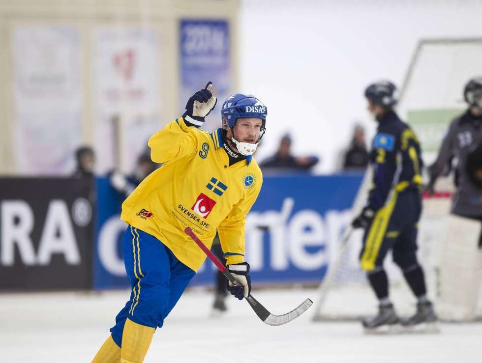 Johan Löfstedt scored five goals for Sweden ©Bandy Puls