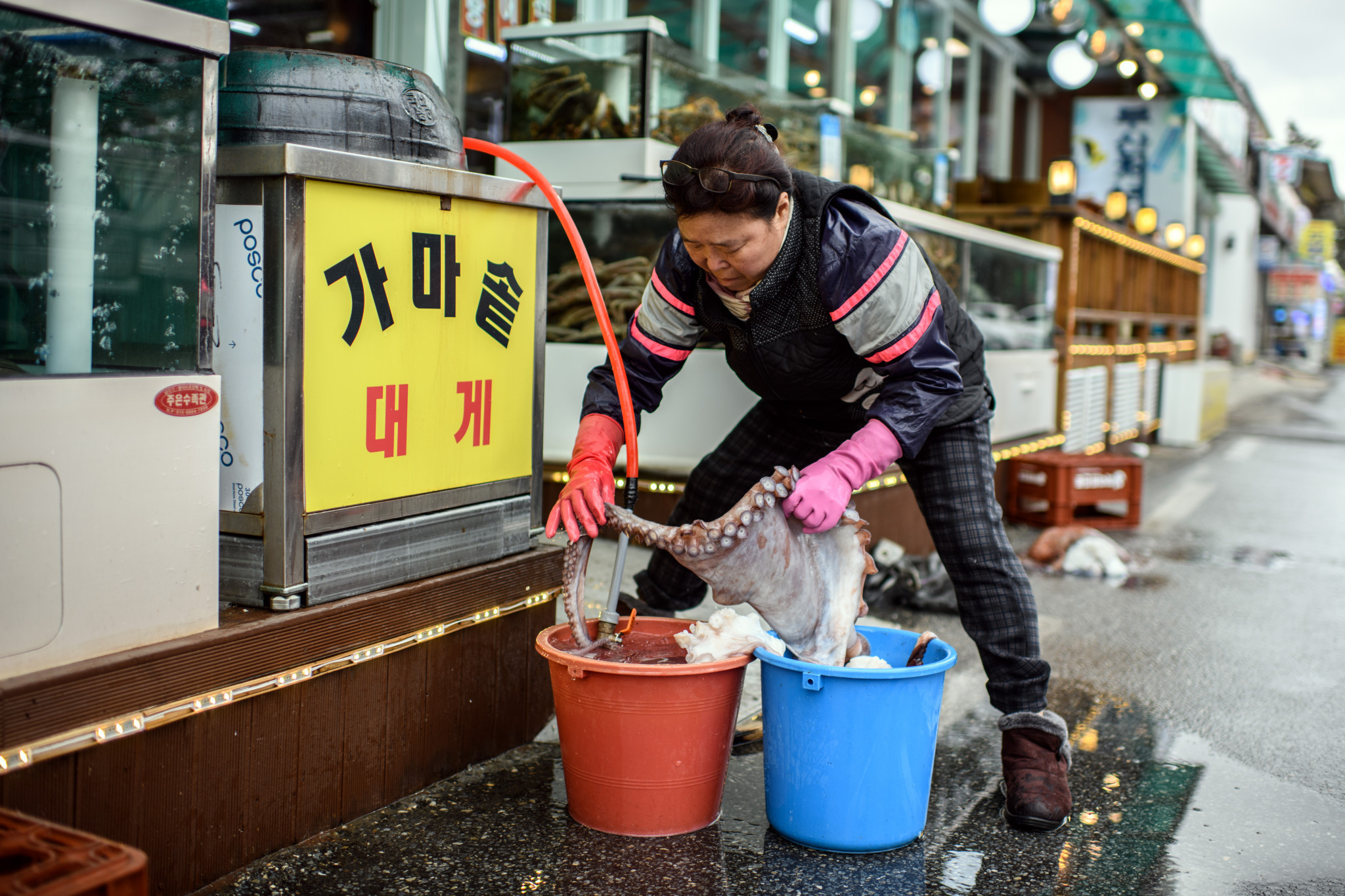 A worker at a seafood restaurant prepares an octopus in Gangneung as the area readies itself for an influx of visitors ©Getty Images