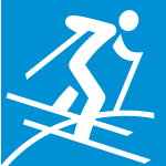 Freestyle Skiing (Slopestyle)