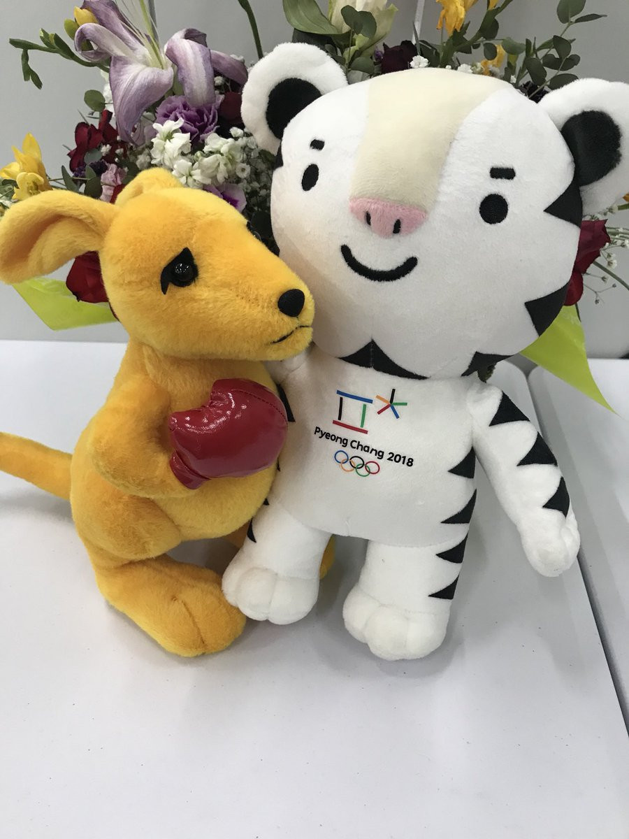 Pyeongchang 2018 mascot Soohorang alongside Australian counterpart BK ©Twitter