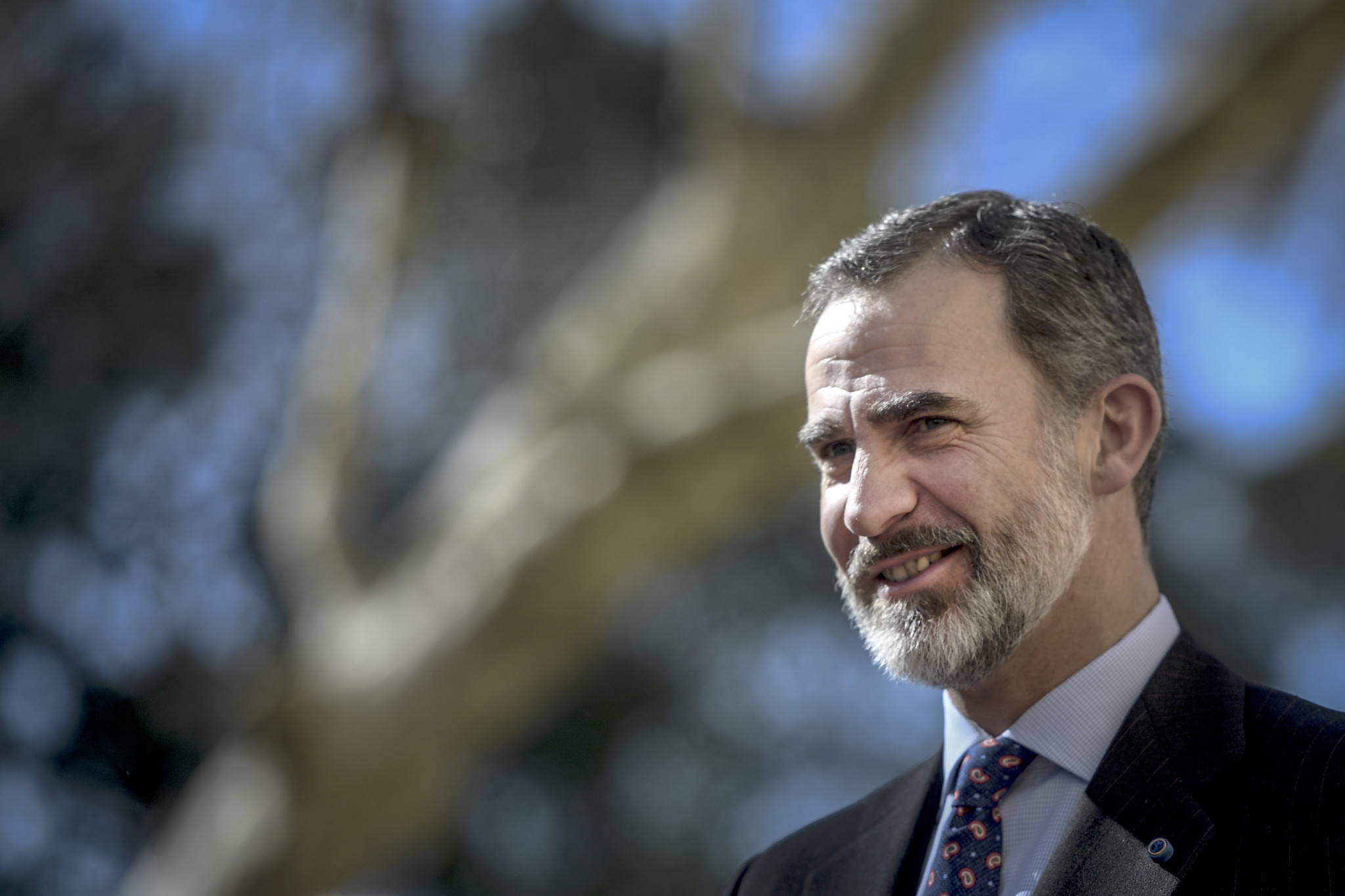 Spain's King Felipe VI bestowed the honour on the country's Olympic Academy ©Getty Images